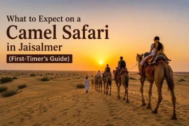 What to Expect on a Camel Safari in Jaisalmer (First-Timer's Guide)